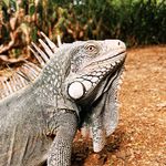 Profile Picture of Daniel Bremmer (@dbpics) on Instagram