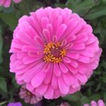 Profile Picture of 🌺Leah Appel🌺 (@photography.leah.beth) on Instagram