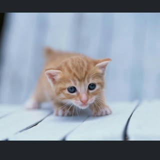 Profile Picture of EXO-L💙 (@coe_sky) on Instagram