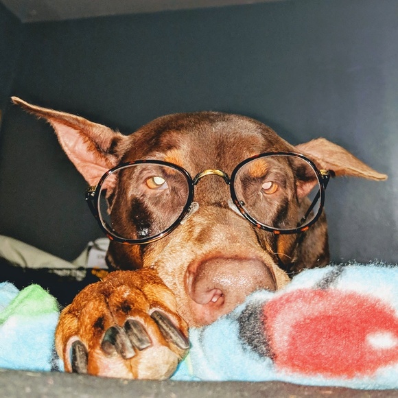 Profile Picture of Richard Dorman (@myluvjustice) on Poshmark