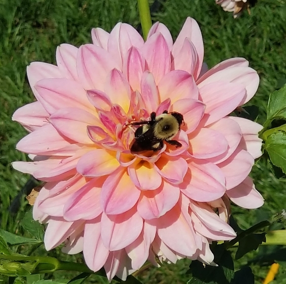 Amy Prestel - Poshmark Profile Picture of Amy Prestel (@anythingred13) on Poshmark