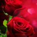 Profile Picture of Ram Anupama (@ram.anupama.370) on Facebook