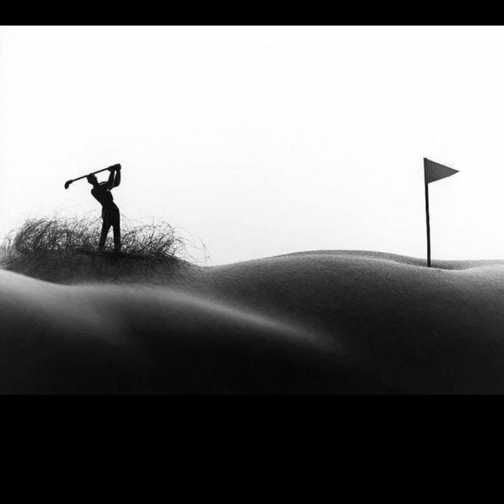 Profile Picture of Carl Hauser (@carlhauser24) on Tiktok