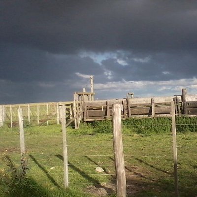 Profile Picture of Julia Chaparro (@Julichaparro_ok) on Twitter