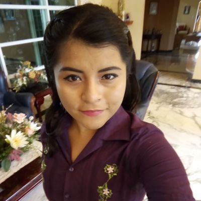 Profile Picture of Guadalupe Palomo Reyes (@GuadalupePalRey) on Twitter