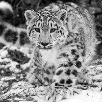 Profile Picture of Alexandra Lester (@alexandra-lester-4) on Quora