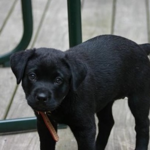 Brian Spitler - Myspace Profile Picture of Brian Spitler (@kingfilo) on Myspace