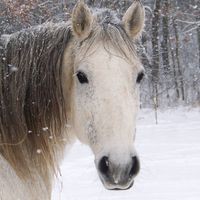 Profile Picture of Shay Neal (@shay-neal-14) on Quora