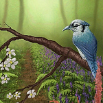 Profile Picture of Colin Thomson (@colinthomson301) on Flickr