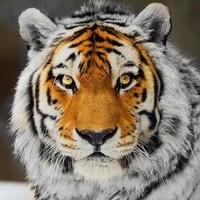 Profile Picture of Vivian Davis (@vivian-davis-5) on Quora