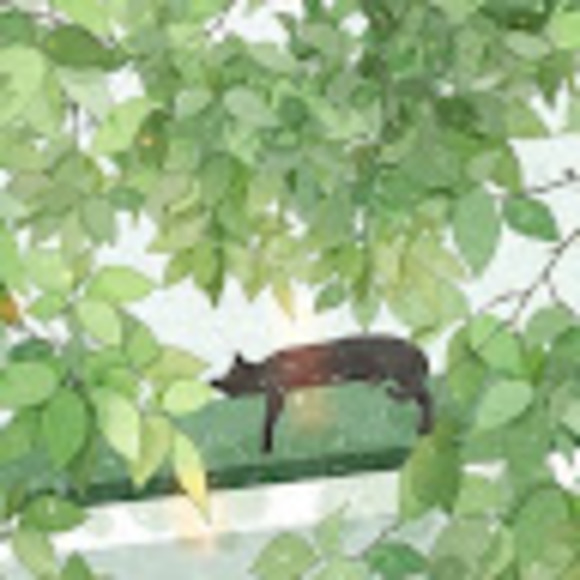 Myra Banion - Poshmark Profile Picture of Myra Banion (@myrabanion) on Poshmark