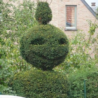 Profile Picture of Clare Andrews (@foxedme) on Twitter