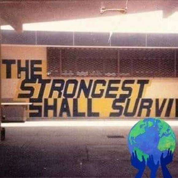 Profile Picture of Tony Waller (@tdw528) on Poshmark