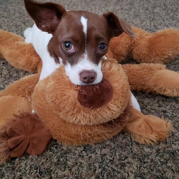 Profile Picture of Lisa Kennedy (@lisakennedy) on Poshmark