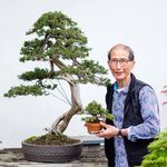 Profile Picture of Peter Chan (@peterchanbonsai) on Instagram