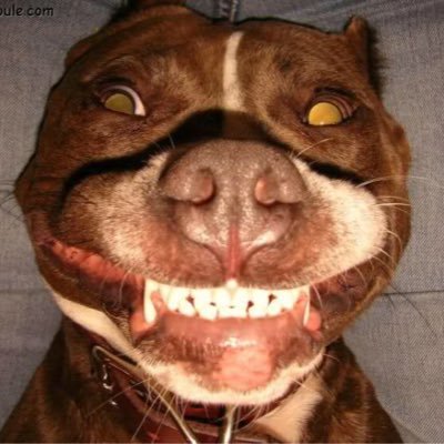 Profile Picture of Gerry Gibbons (@chunkyfunky59) on Twitter