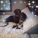 Profile Picture of Misty Colgin (@misty.colgin) on Facebook