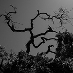 Profile Picture of Rebecca Wright (@wrighton22) on Flickr