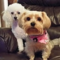 Profile Picture of Kim Albers (@kim-albers-11) on Quora