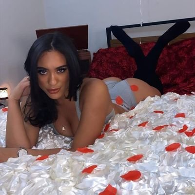 Profile Picture of Amanda Reid (@amanda_reid_) on Twitter