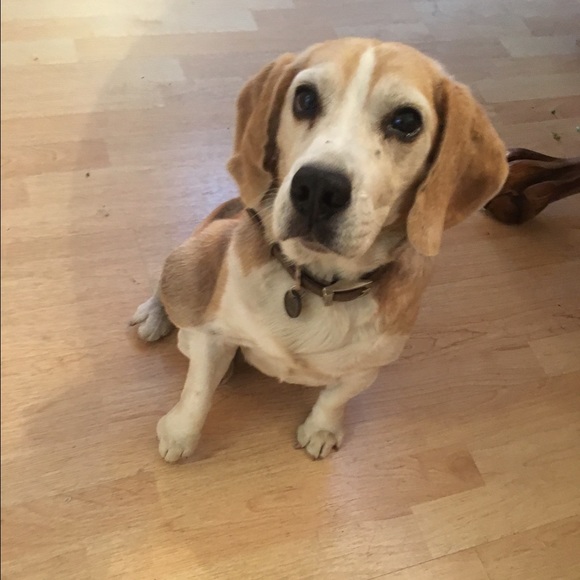 Profile Picture of Rachel Chaboya (@rchaboya) on Poshmark