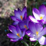 minerva montero. saavedra - Instagram Profile Picture of minerva montero. saavedra (@minervamonterom) on Instagram