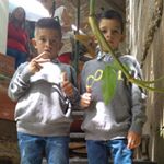 Profile Picture of robert arellano (@arellarobert) on Instagram