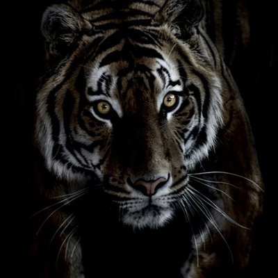 Profile Picture of James Baker (@JamesBa34292635) on Twitter