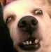 Profile Picture of Barry Barnaby (@barry.barnaby.9) on Facebook