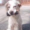 Profile Picture of John Sodergren (@johnsodergren7) on Tiktok