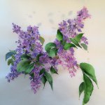 Profile Picture of Lynn Pulsifer (@lynnopulsifer) on Instagram