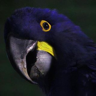 Profile Picture of Alex Glennie (@alex.glennie.14) on Facebook