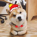 Profile Picture of Weidong Huang (@weidong1258) on Instagram