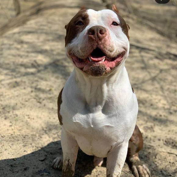 Profile Picture of Nathaniel Beck (@nathaniel_beck) on Poshmark