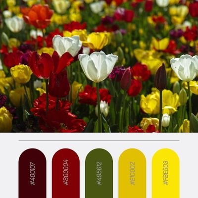 Profile Picture of Mike Zuke (@MikeZuke2) on Twitter