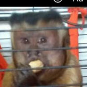 Profile Picture of Jonathan Stlouis (@raphjoe13) on Youtube