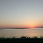 Profile Picture of Cookiez_love_cat_meow (@kittycotten08) on Instagram