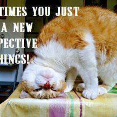 Profile Picture of David P Sardella (@Dave54P) on Twitter