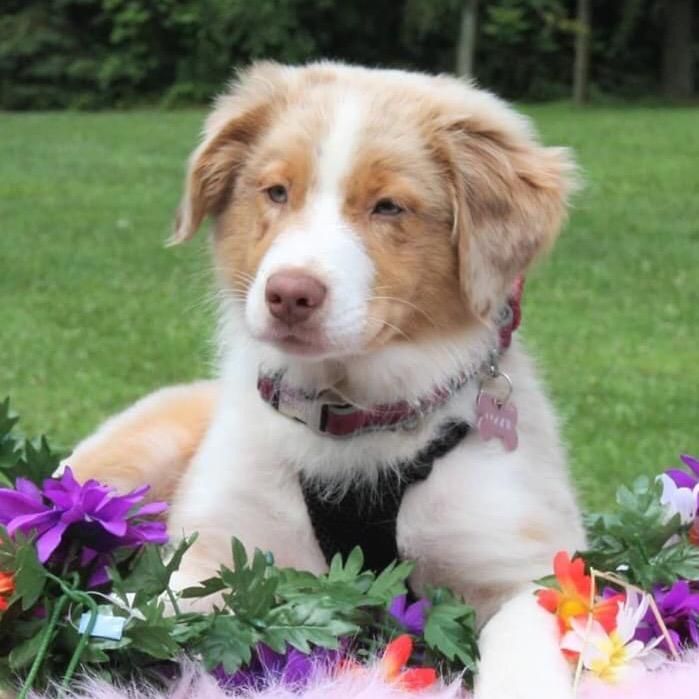 Profile Picture of Autumn (@_autumn_meredith_) on Tiktok