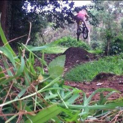 Profile Picture of Tim (@Timheap1) on Twitter