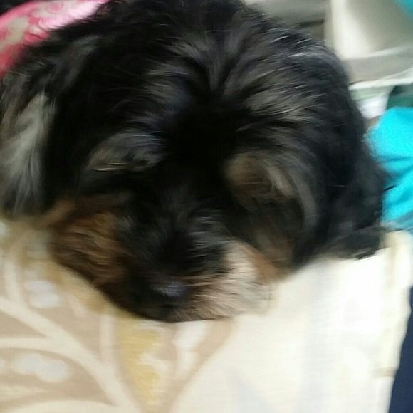 Profile Picture of Dawn Schouest (@dawnschouest) on Poshmark