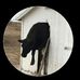 Profile Picture of Kyle Mcglone (@kyle.mcglone.50) on Facebook