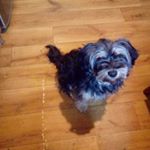 Profile Picture of Lidia Wójcik (@wojcik727) on Instagram