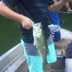 Brian Wilson - Instagram Profile Picture of Brian Wilson (@brianaustinwilson) on Instagram