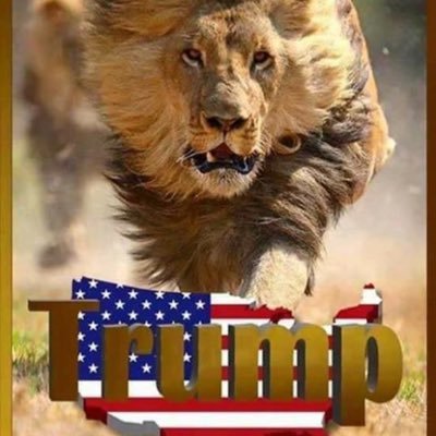 Profile Picture of Deb🇺🇸🇺🇸🇺🇸🇺🇸🇺🇸 (@DeborahWeiland3) on Twitter