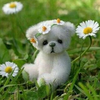 Profile Picture of Swetha Patil (@swethapatil1) on Twitter