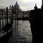 Profile Picture of Dina Gusarova (@dinagusarova) on Flickr