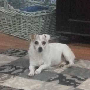 Profile Picture of Roger Derek Eads (@RogerDEads) on Twitter