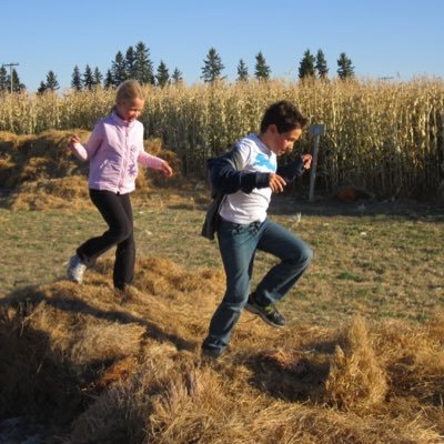 Profile Picture of Kim Scharf (@Scharfie) on Twitter