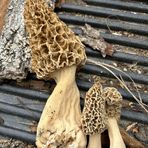 Profile Picture of Jeffrey Lynn Fender (@jeffreylynn.fender) on Facebook